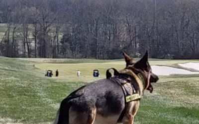 K9 Sgt. Lanzer on His Duties